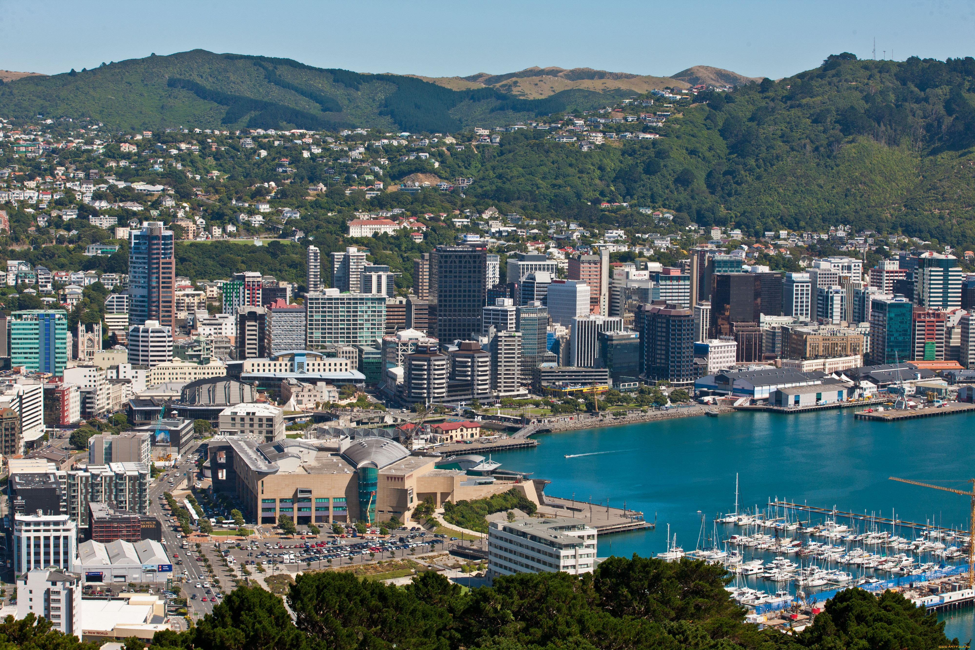 Wellington new zealand. Новозеландия Веллингтон. Веллингтон столица. Веллингтон столица новой Зеландии достопримечательности. Веллингтон бухта.